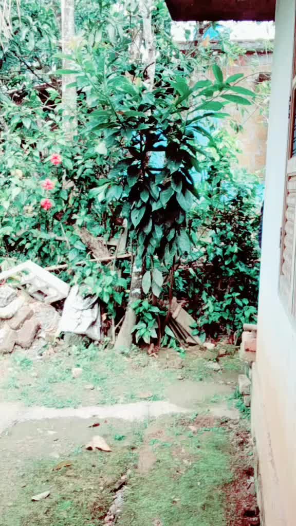@@flahv