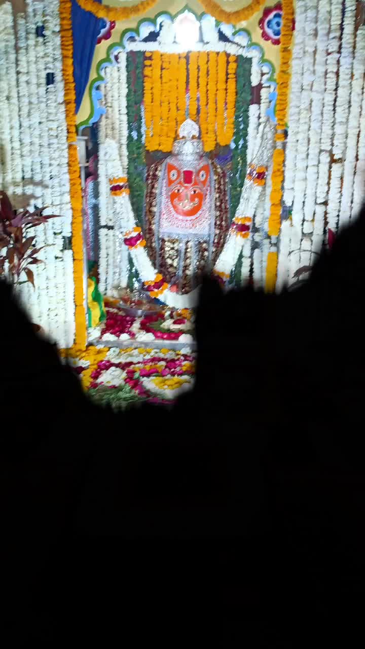 @harish mandloi