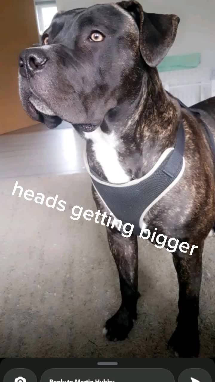 @Baby Duke