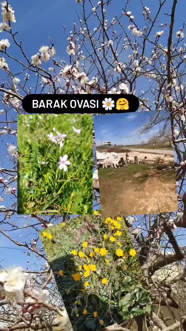 @👨❤️👨Umut❤️sirac 👨❤️👨
