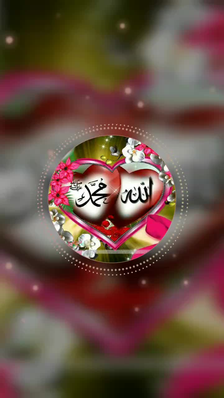 @shaista akhtar