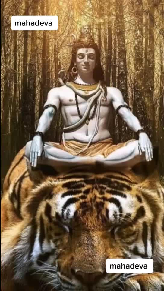 @Bariya Shailesh