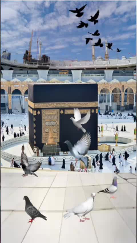 @Ali Zain 121472