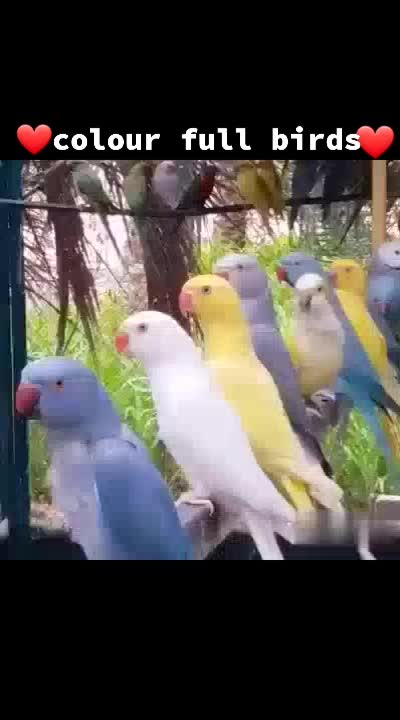 @Anjali