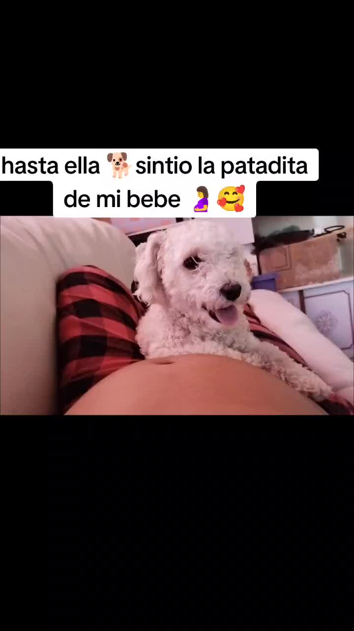@Myry