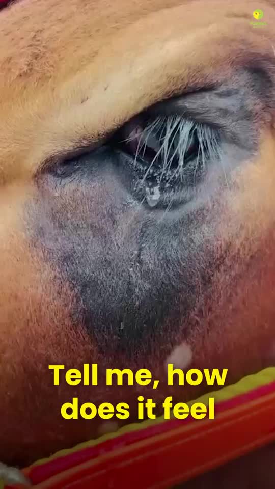 @help...🥺🙊🙊🥺