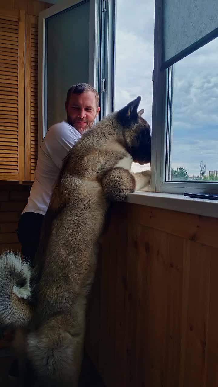 @Елена