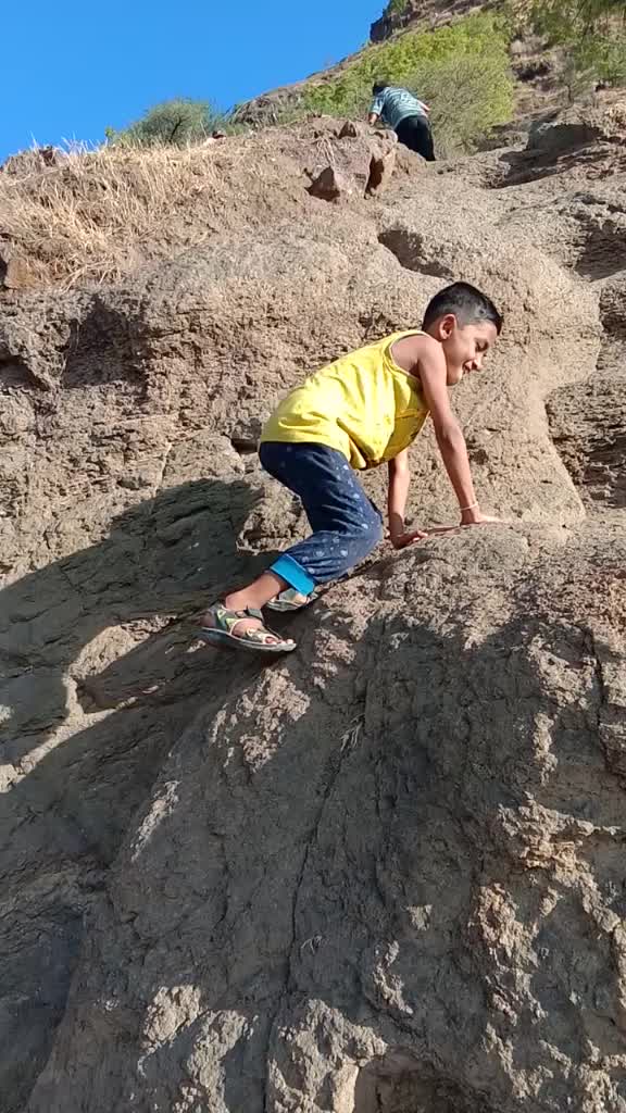 @user7246286444541