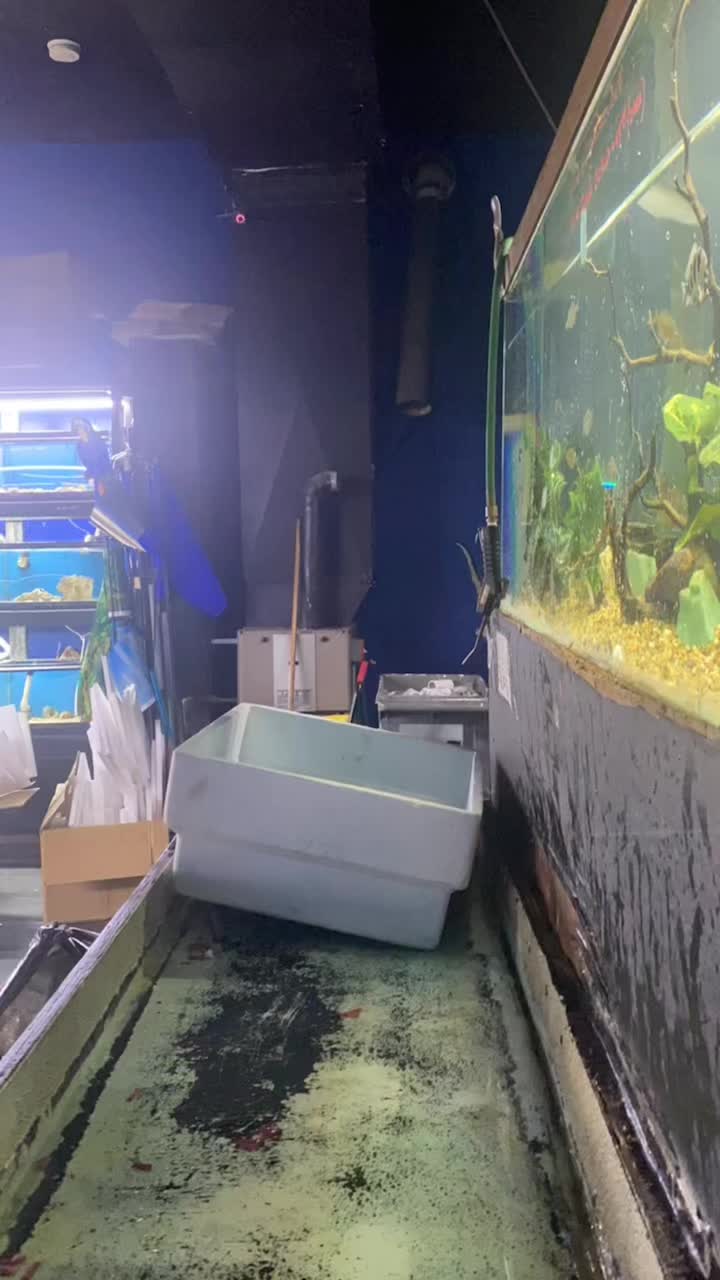 @Aquarium Paradise
