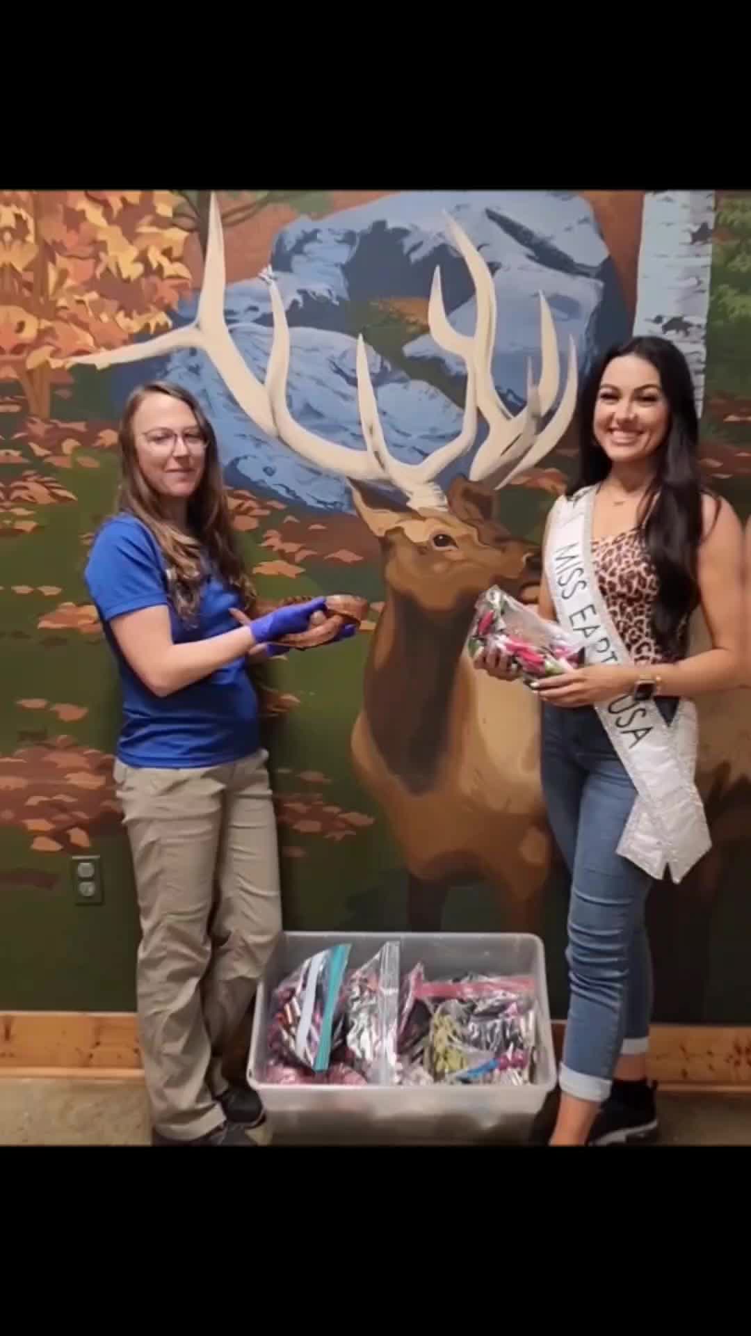 @wandsforwildlife