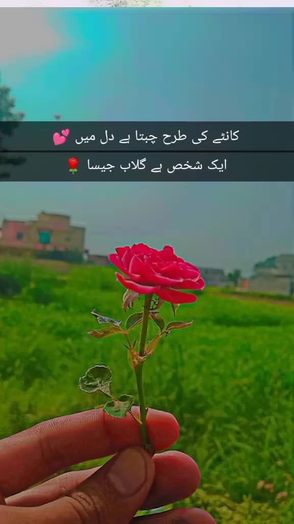 @abduil razaque panhwer sindhi