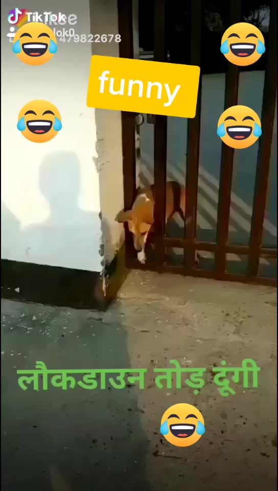 @Rahul Ko