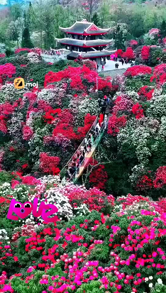 @Biki Kumar