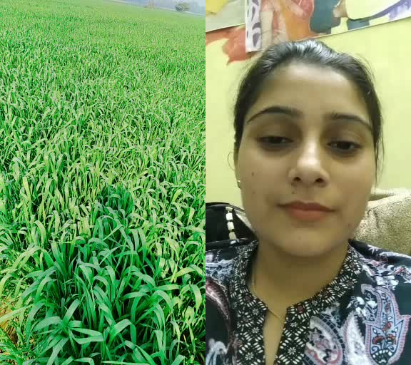 @Randhir Rathor
