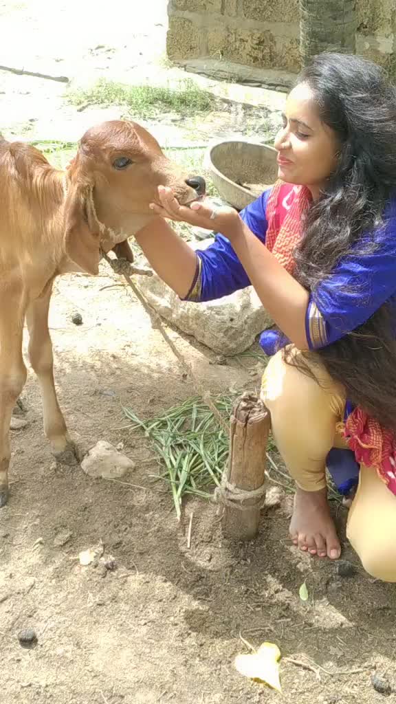 @tinku_savaniya