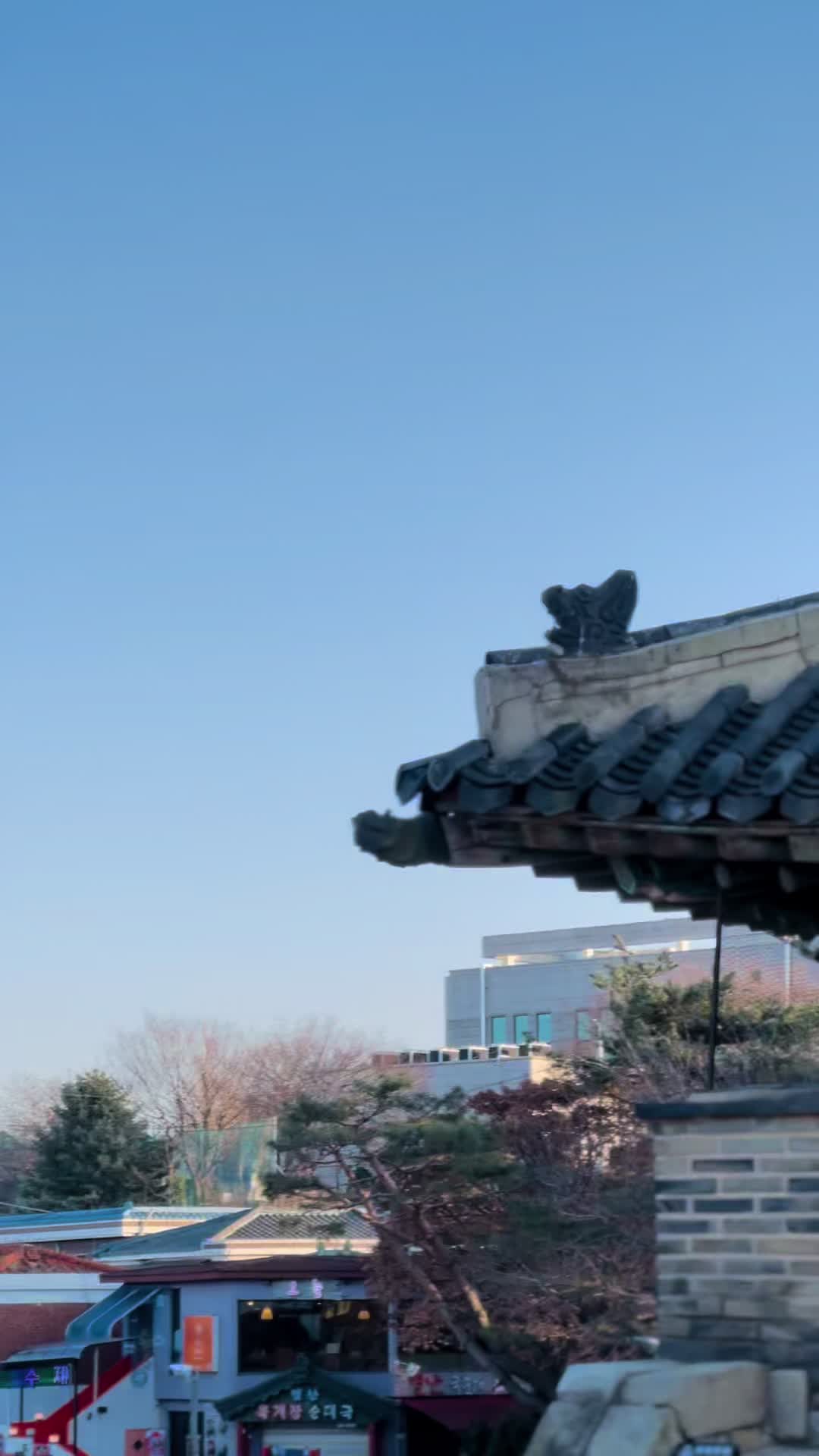 @Rana Basit 🇰🇷