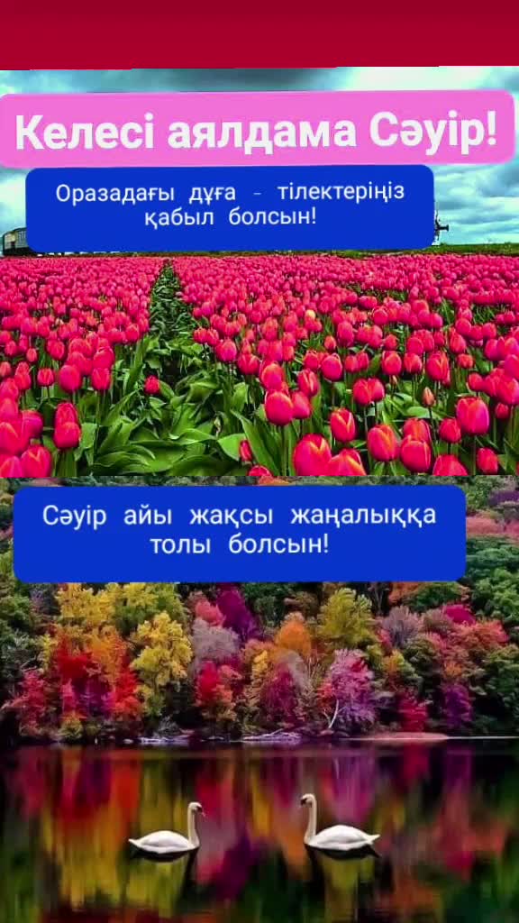 @Taraz0876