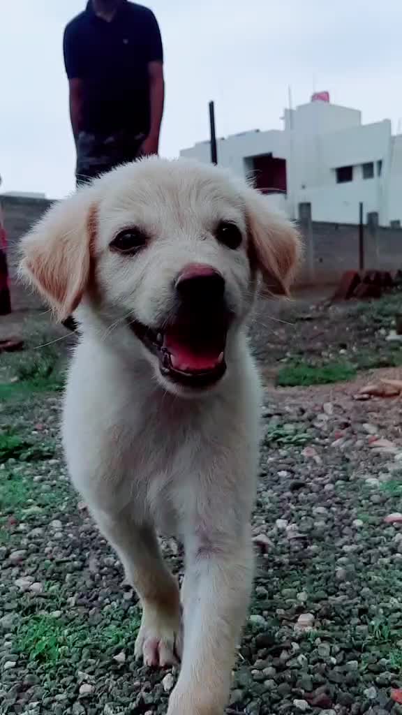 @Jayesh Gaikwad