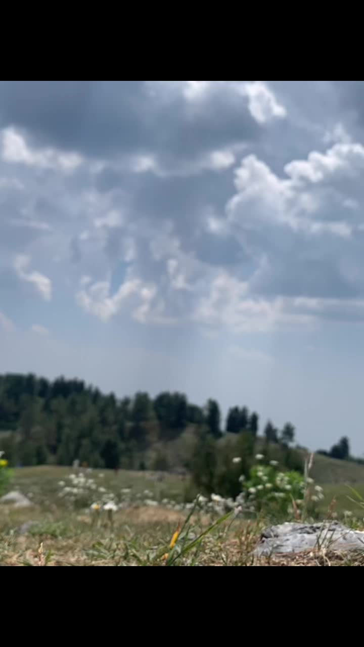 @Shahzaib Ali