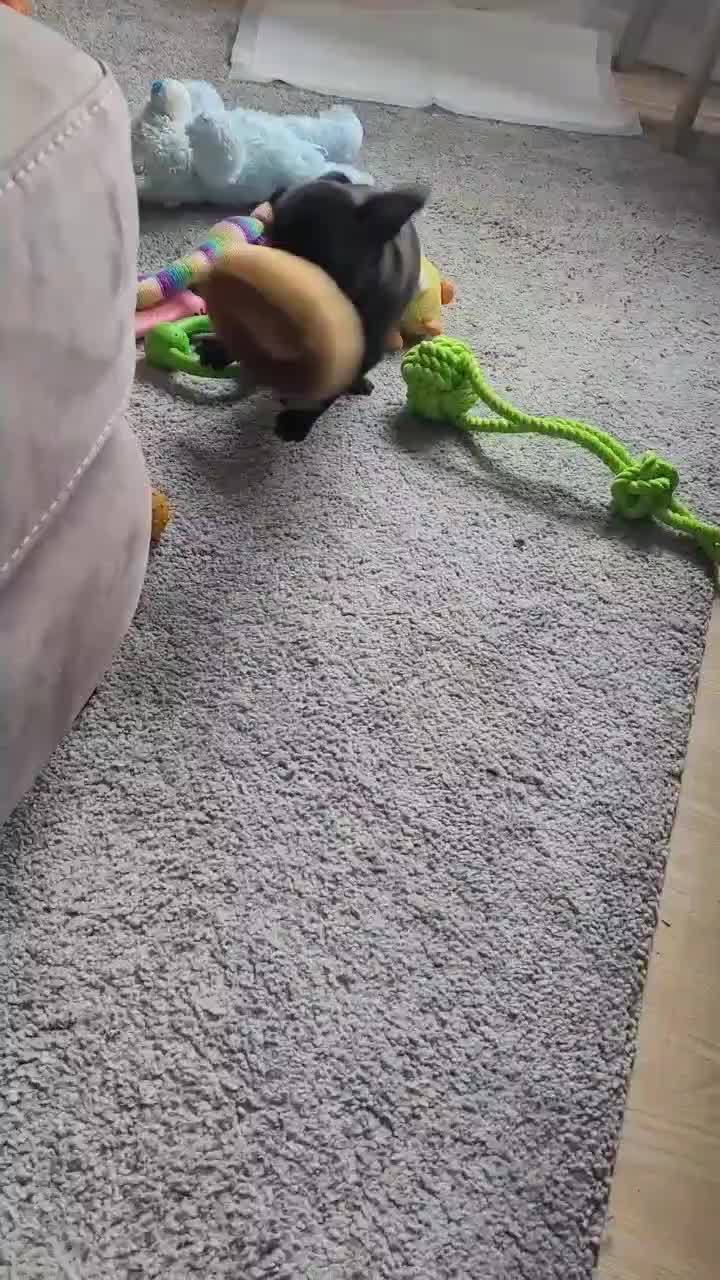 @T