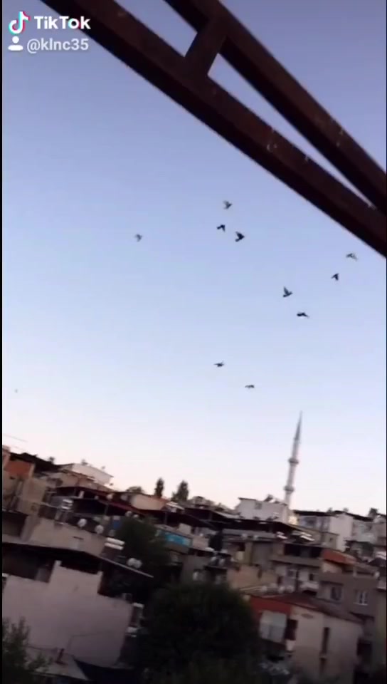 @isa kılınç