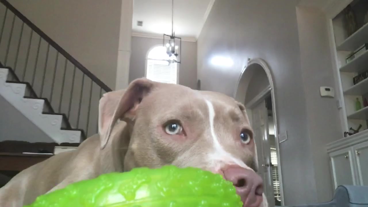@🥴 Zoey 🥴