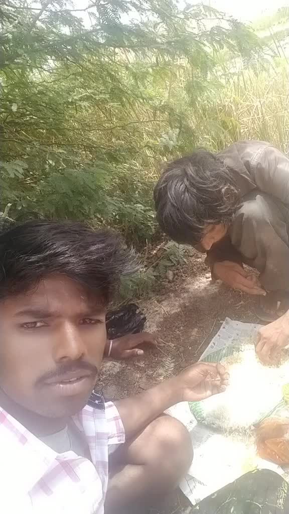 @Bనరసింహ. భారతి