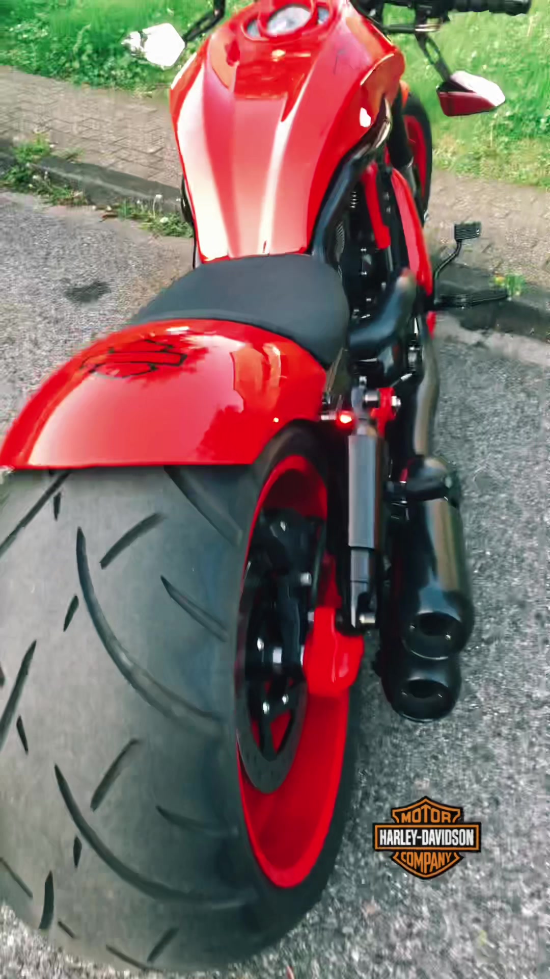@Mario_vrod_hrvat