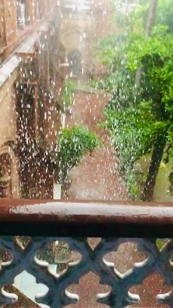 @shehzad kubdani