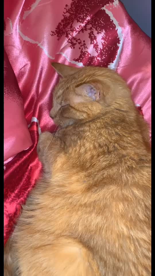 @✨✨✨