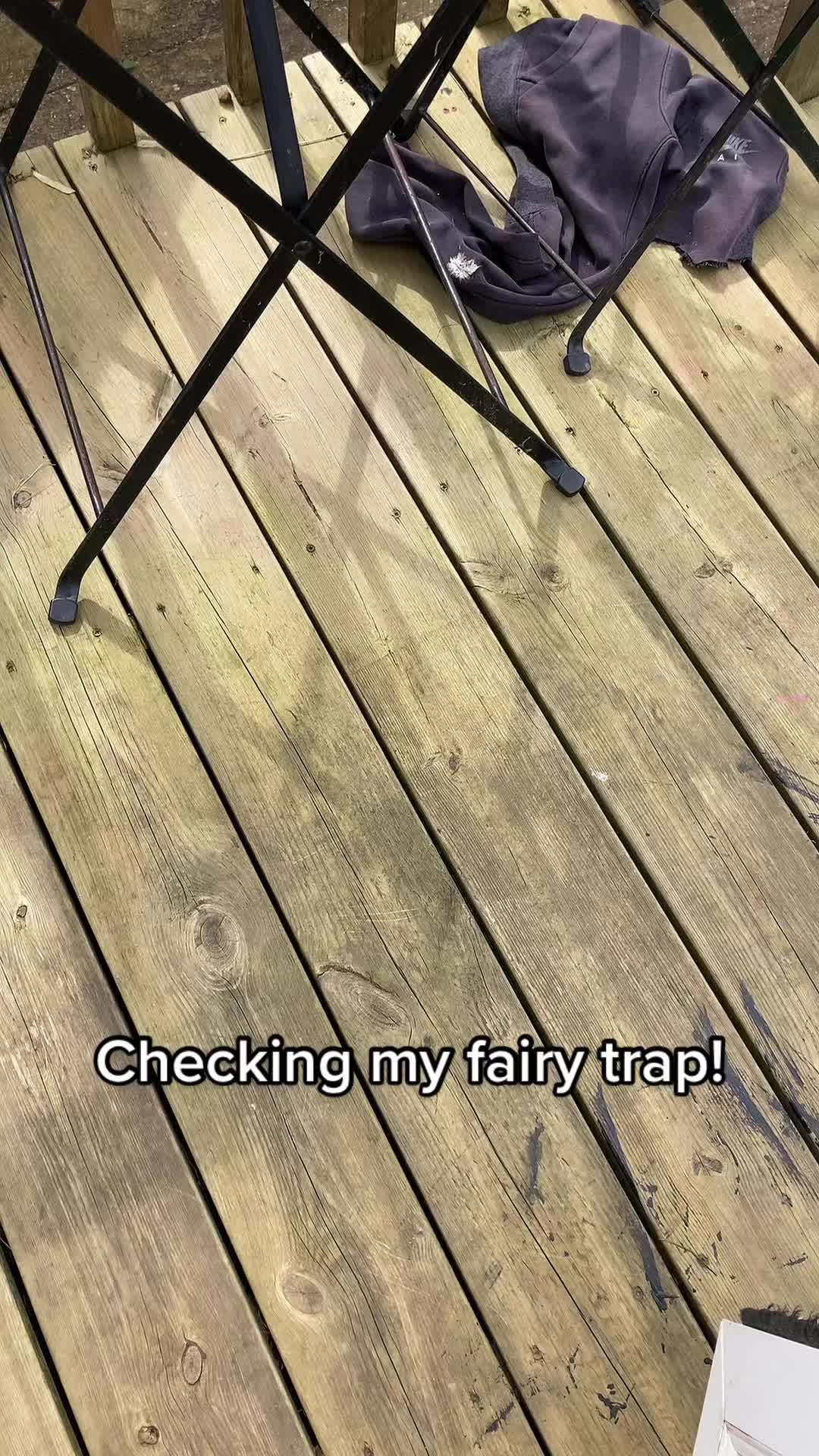 @Fairy Hunter