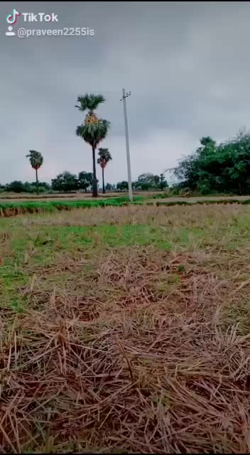 @B.Naveen