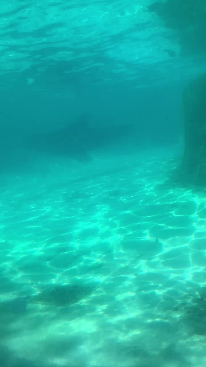 @jenna Samulewski