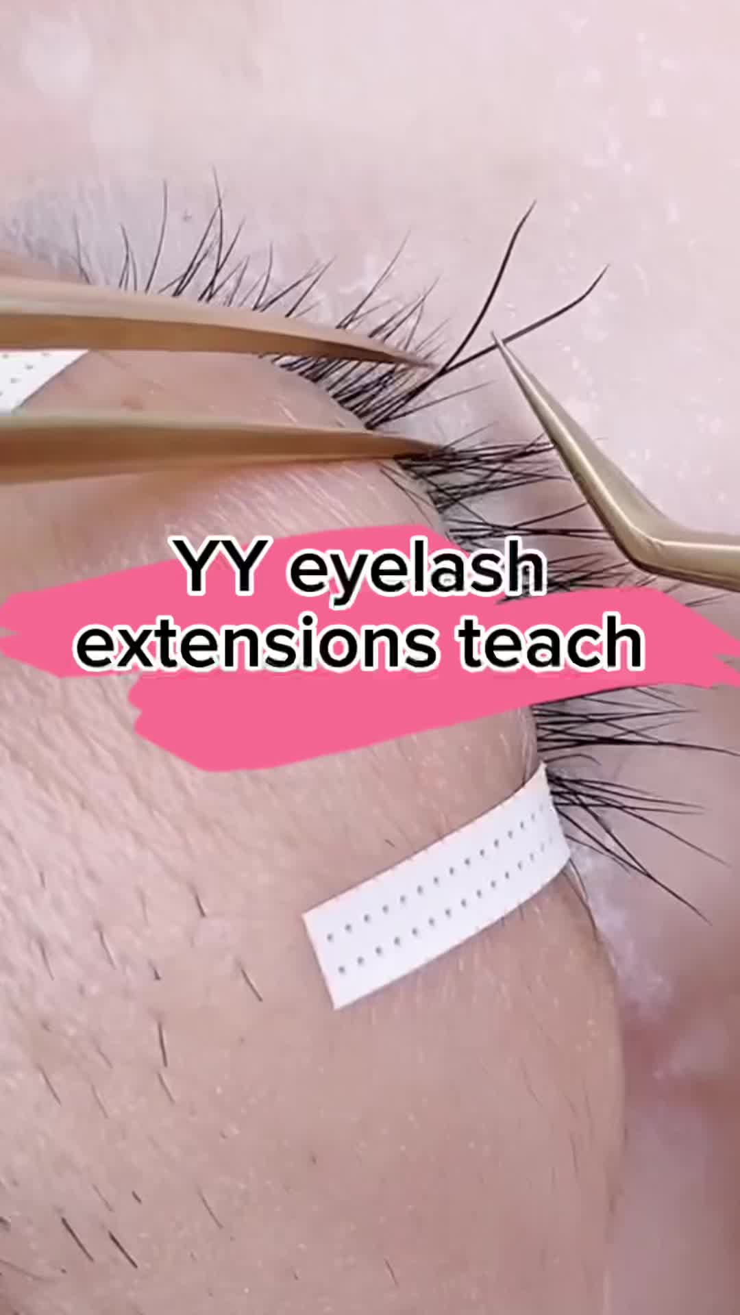 @nbzhongmeng