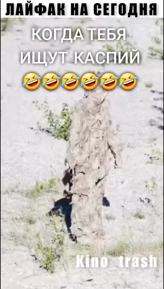 @Энджи