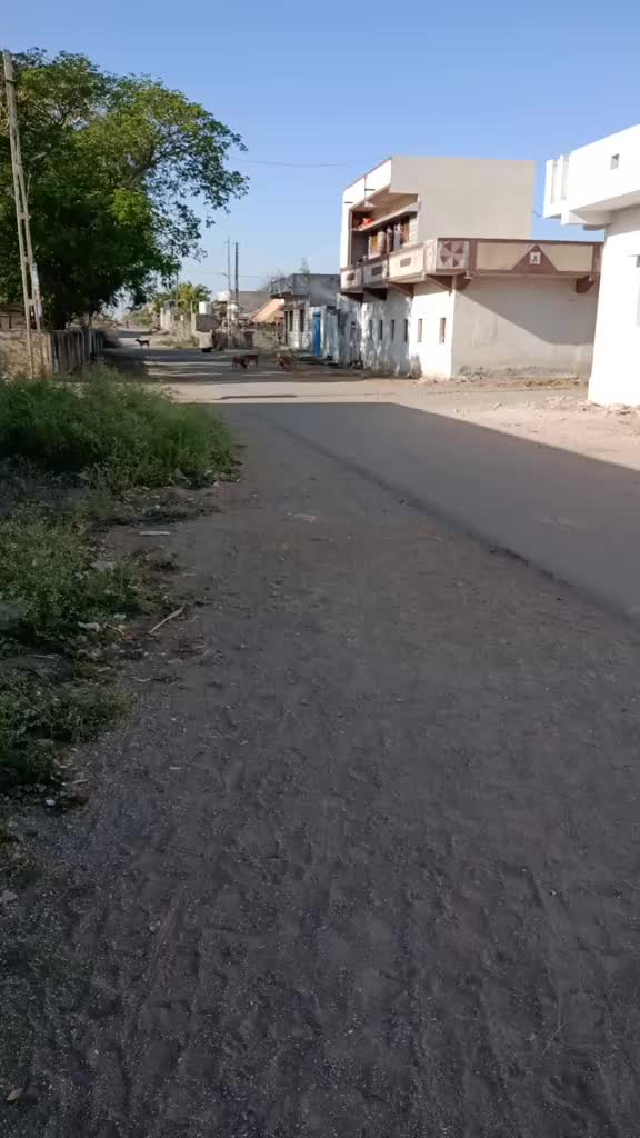 @bhavu_bha_gadhvi_