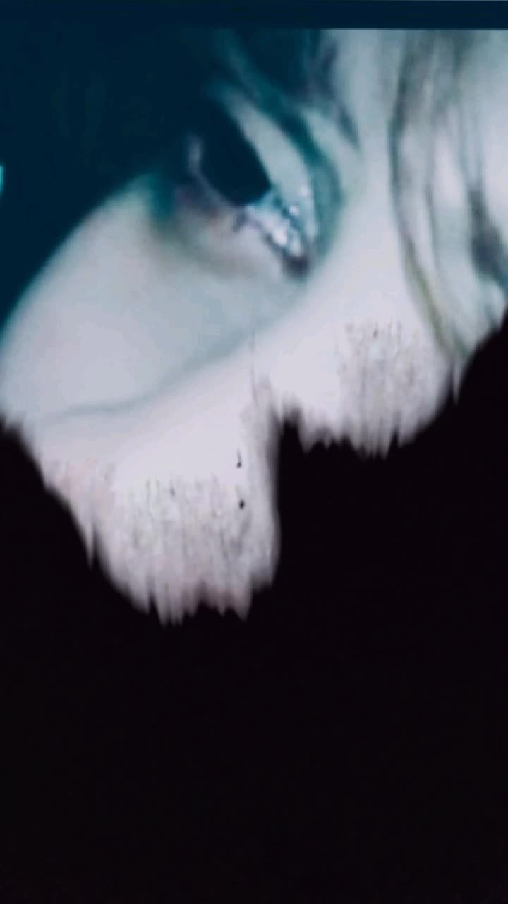 @Aarohi Sharma06