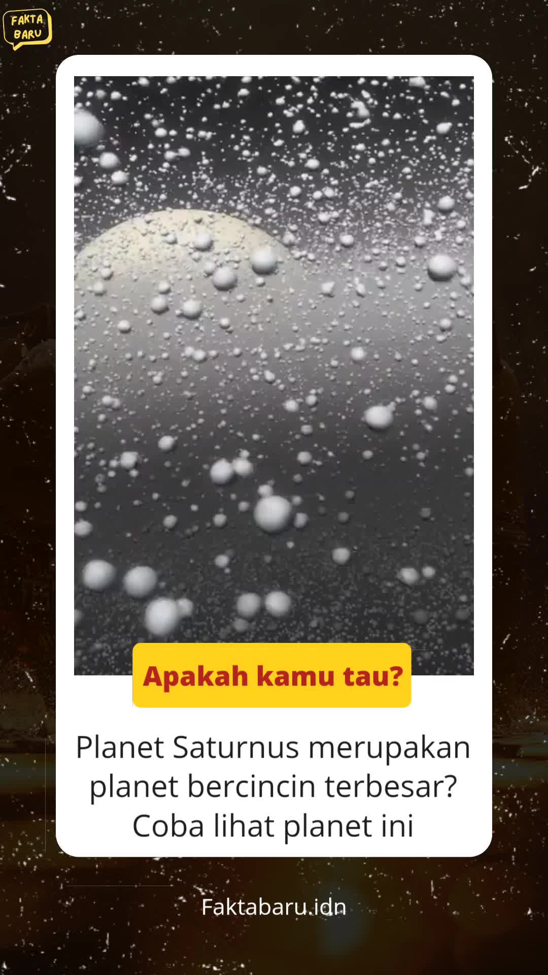 @Faktaster✨️