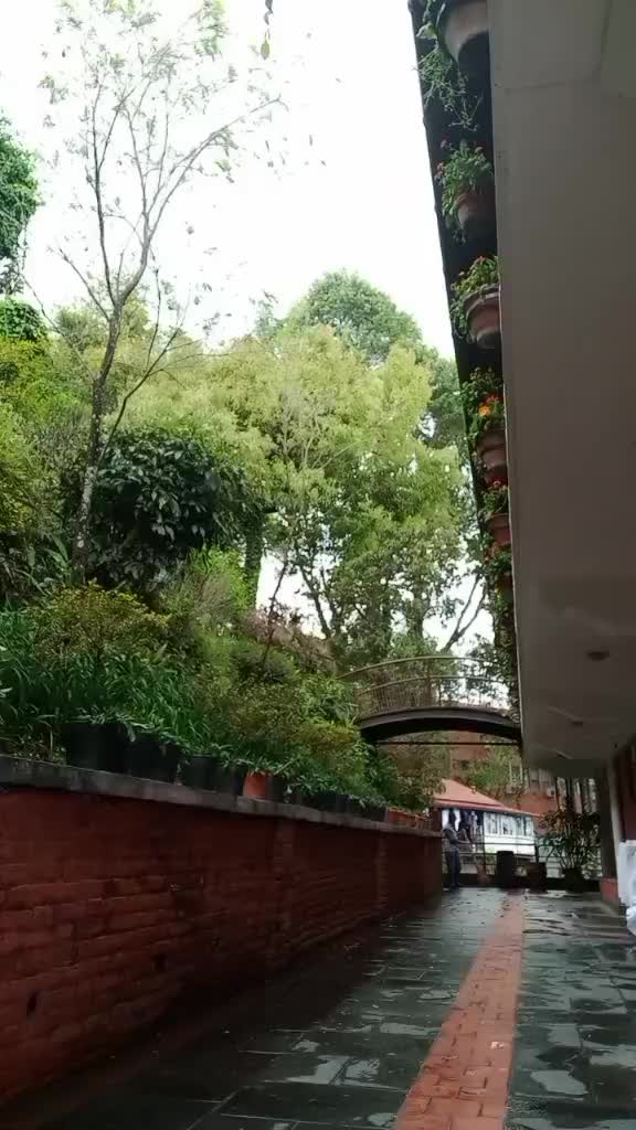 @*ANIJARP* 🍀