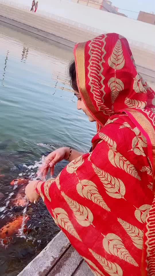 @tannii