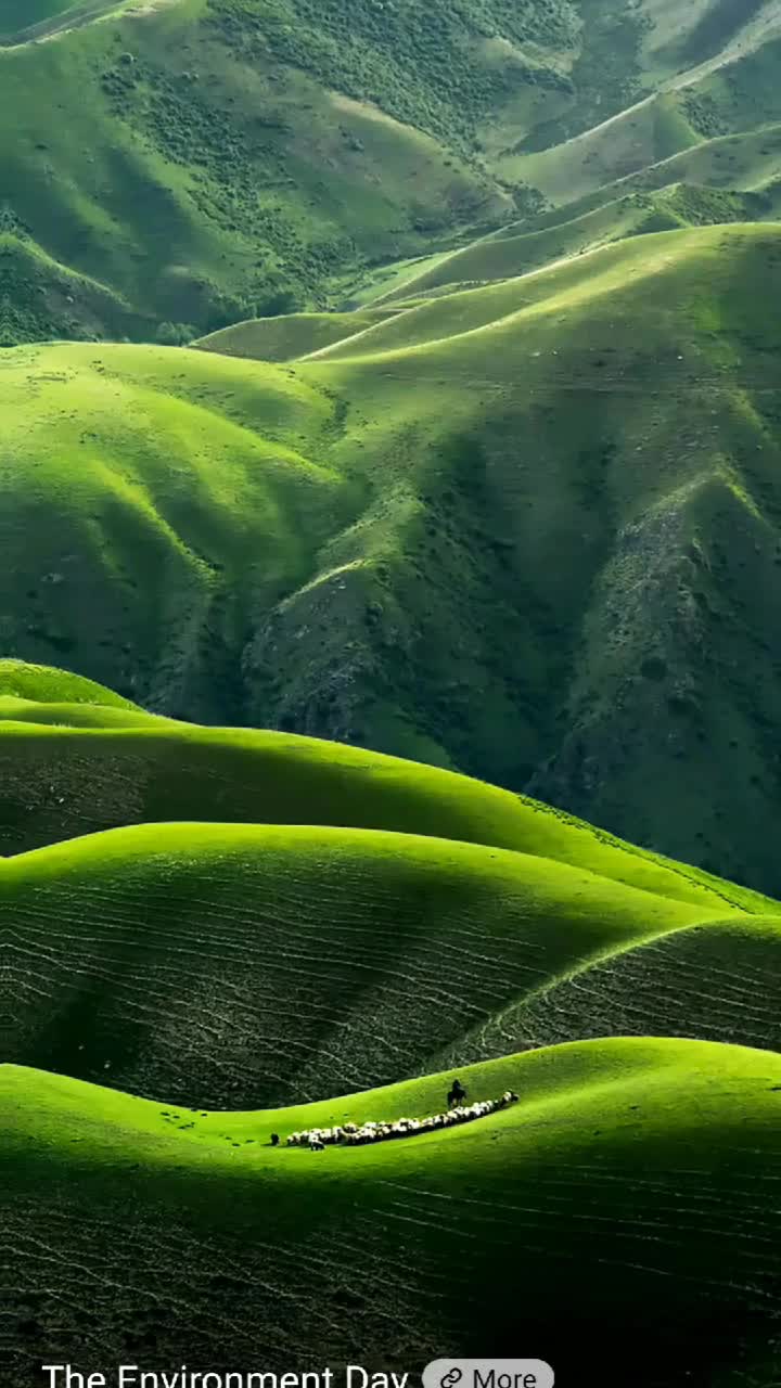 @Mukti Mahato