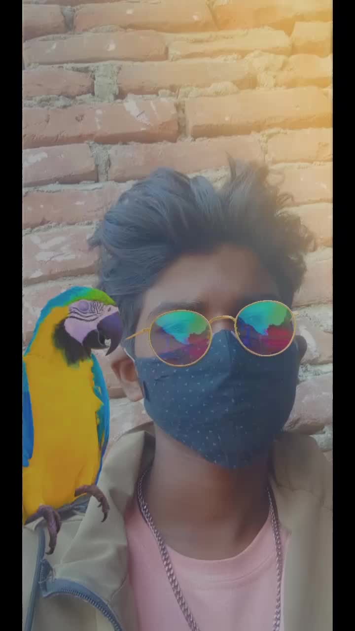 @Sunil Raj
