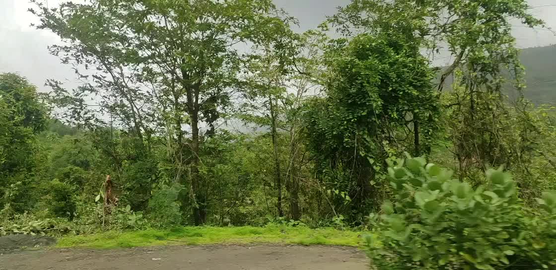 @Sakshi dahibawkar