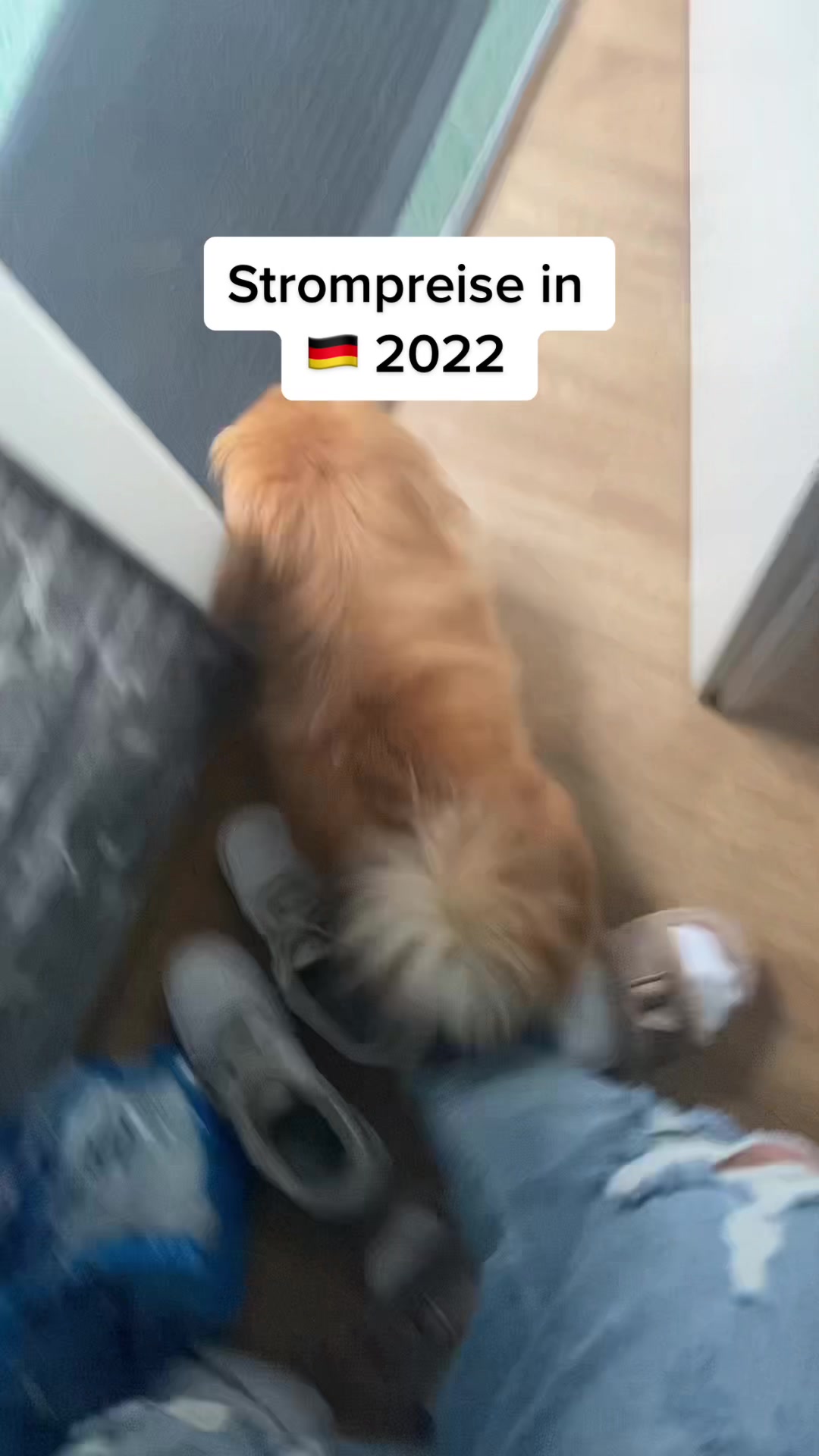 @dschawid