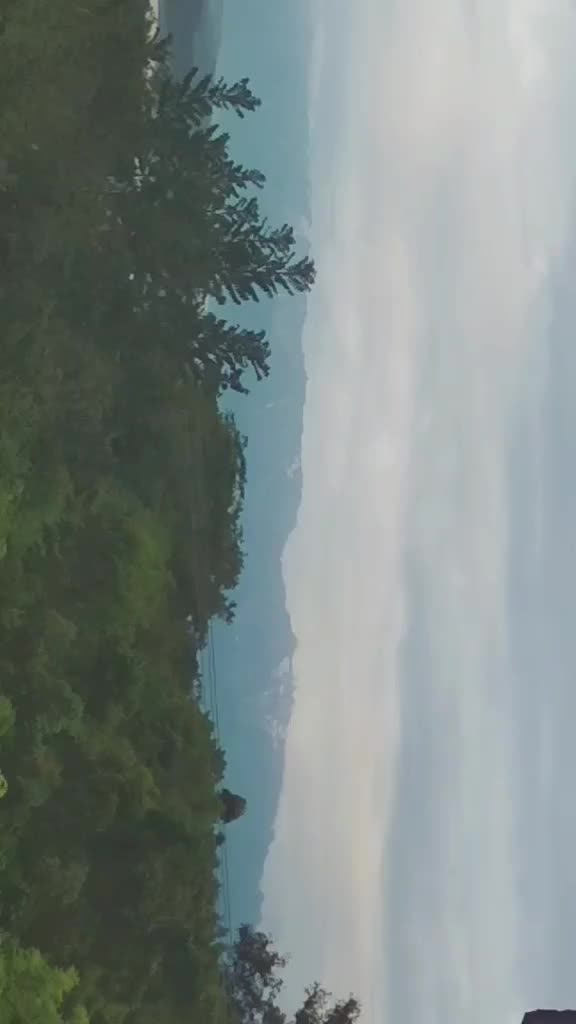 @Sanjeevani thakur