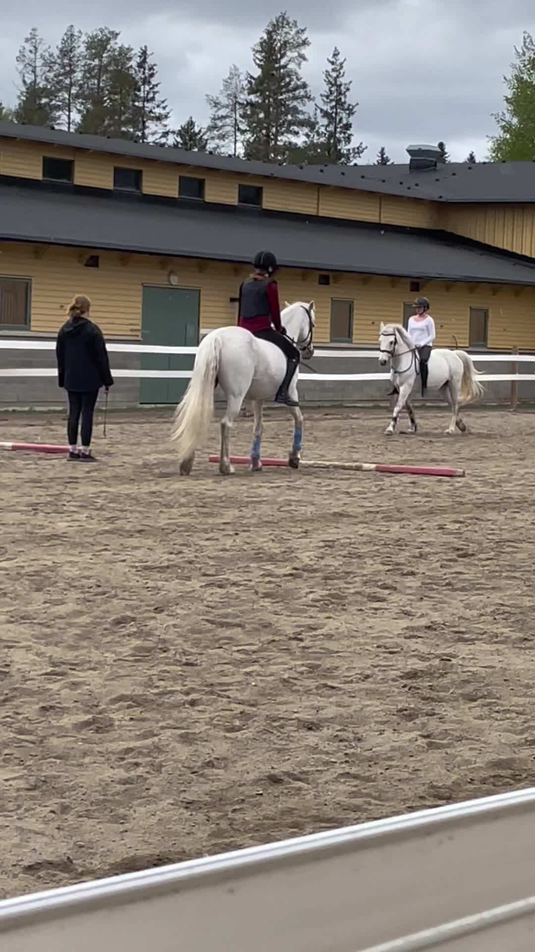 @🌟Emelie & Tian🌟
