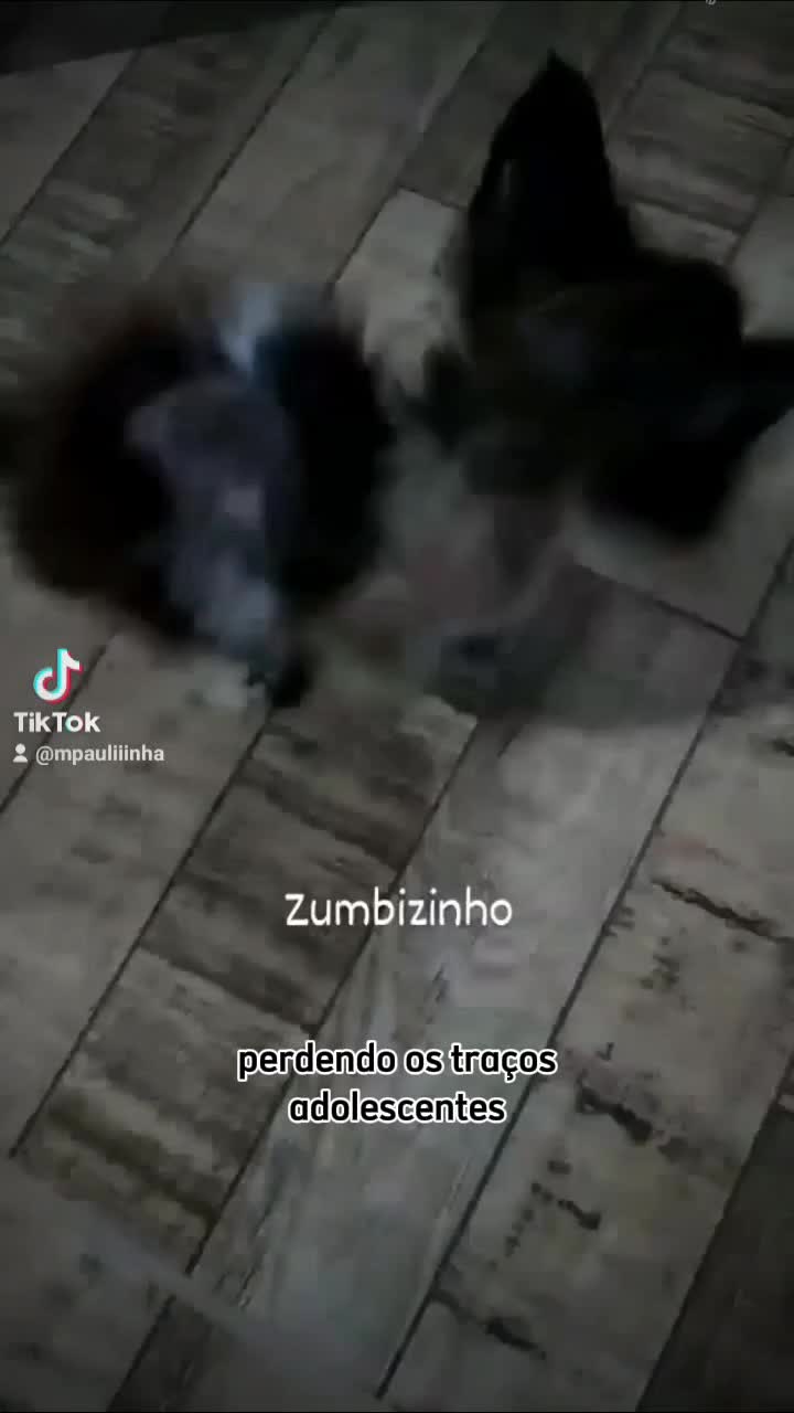 @Maria Paula