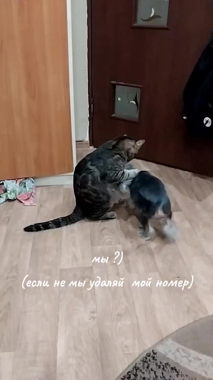 @кукарача