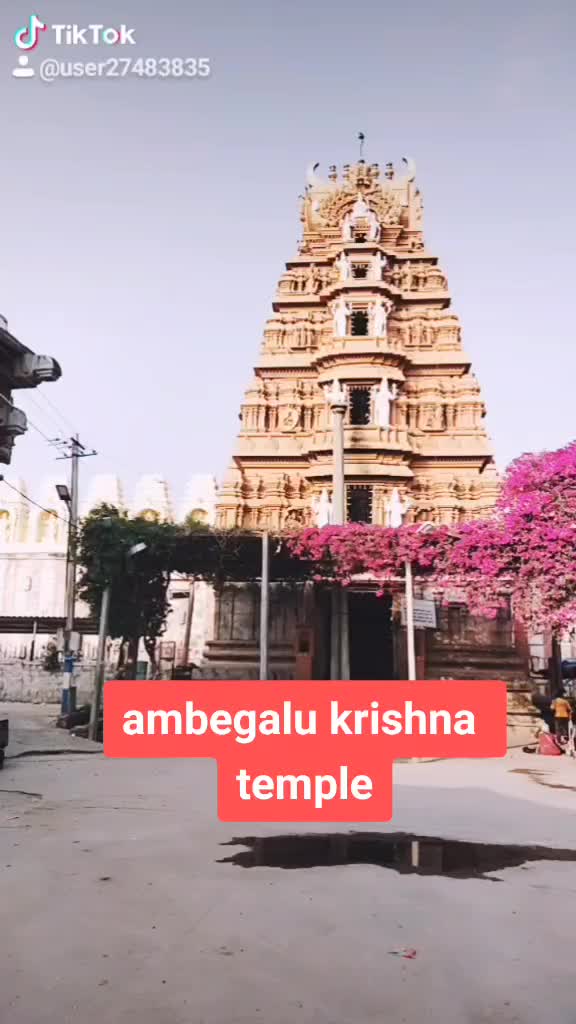 @niharikagowda