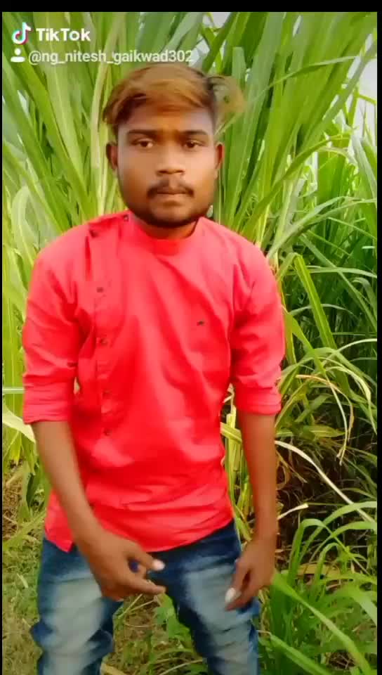 @🇪🇺🐯Bhimacha wagh